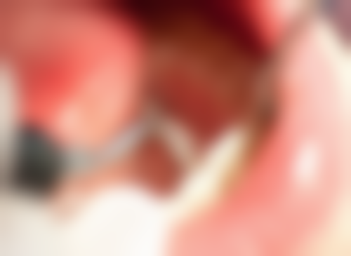 黄忠祥的学术积累与从业资历