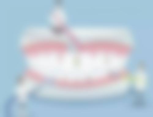 智欣的学术积累与从业资历