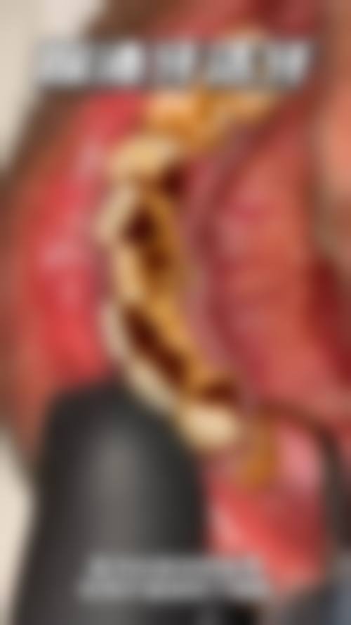 韩小明的学术积累与从业资历