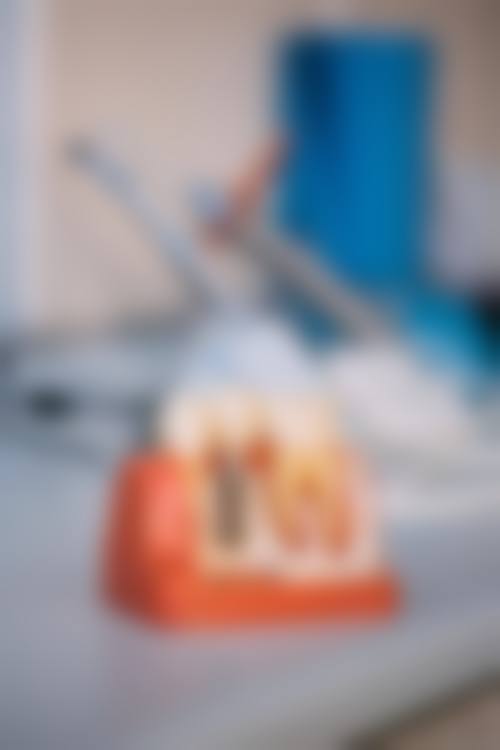 郭文爽的学术积累与从业资历