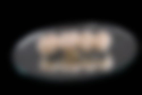 曹雨庵的学术积累与从业资历