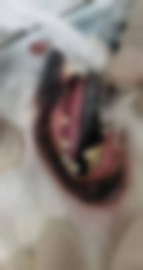 吴晓增的价格与坐诊