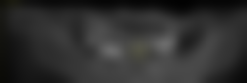 杜小平的价格与坐诊