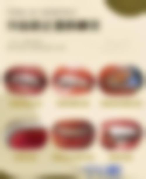 徐赤宇的学术积累与从业资历