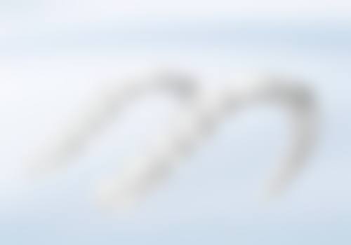 董毓振的诊疗标准与服务细节