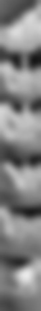 湖北襄阳枣阳德荟口腔医院概况