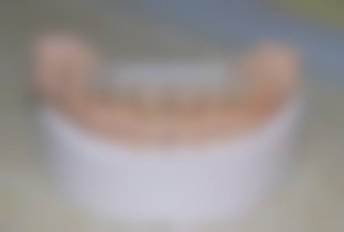 高丽荣的学术积累与从业资历