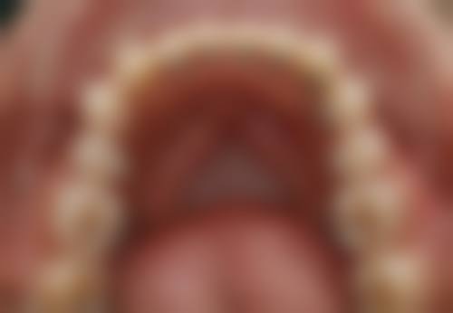 陶芬的学术积累与从业资历