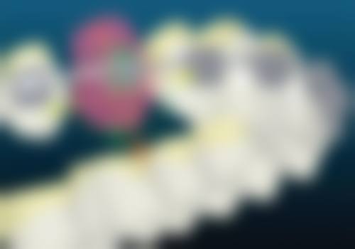 云南昆明博锐禄劝口腔医院基本信息