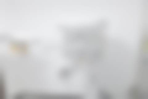 贵州铜仁嘉洁口腔技术优势