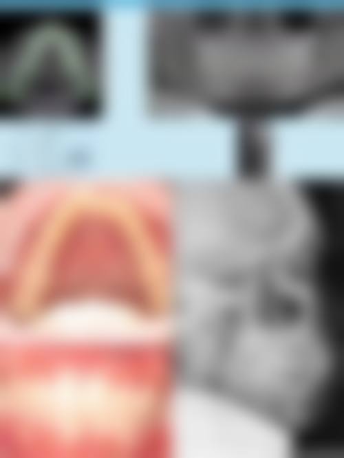 沙赫拉姆的学术积累与从业资历