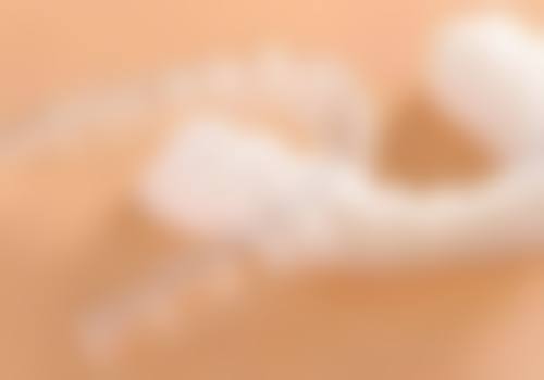 丁春燕的学术积累与从业资历