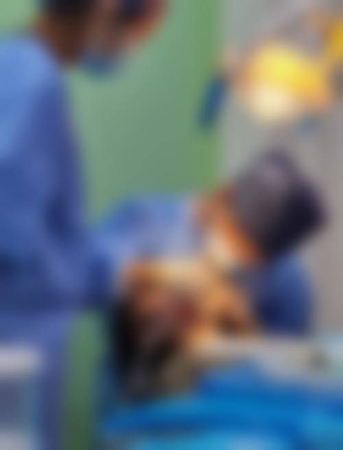 深圳龙华奥柔口腔诊所坐诊指南