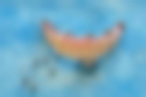 杭州马传金口腔诊所收费标准与预约服务