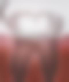 赵建安的学术积累与从业资历