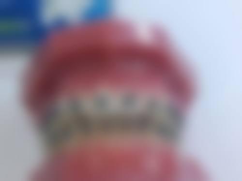 张可娟的学术积累与从业资历