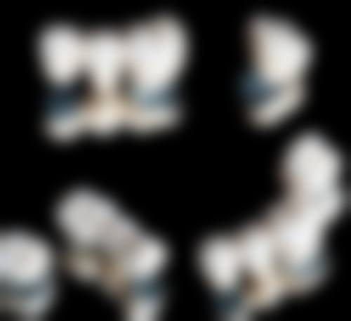 张可娟的价格与坐诊