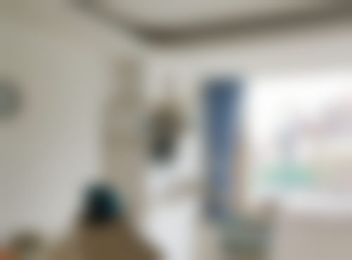 刘玉龙的学术积累与从业资历