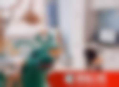 王梓熙的价格与坐诊指引