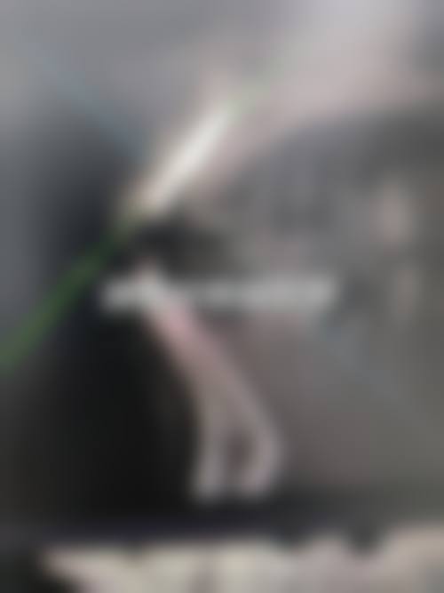 谢亚明的诊疗标准与服务细节