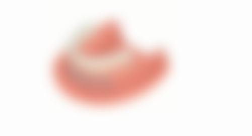 宋文斯的学术积累与诊疗把控