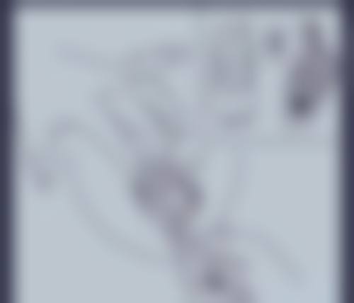 汪锡苓的学术积累与从业资历