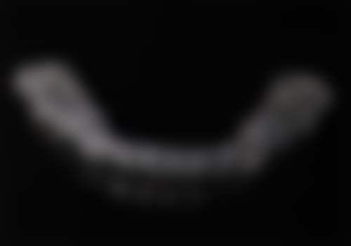 郭邑隆的学术积累与从业资历