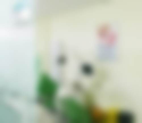 天津河北康美佳口腔门诊部收费价格参考