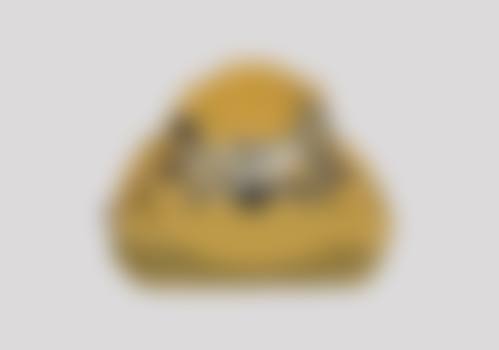 深圳慈恩齿科富轩门诊(车公庙店)医生团队风采