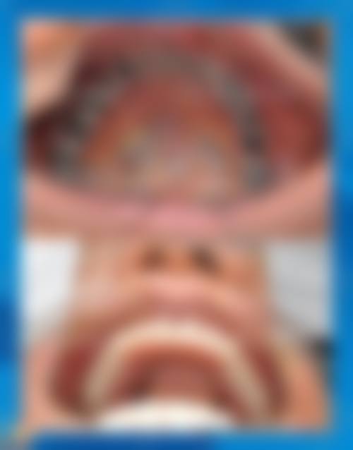 阿诺德.马丁的价格与坐诊指引