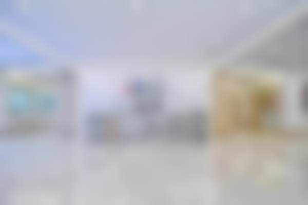 韦少锋的学术积累与从业资历