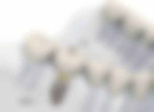 樊熊越的临床实战与个性化服务