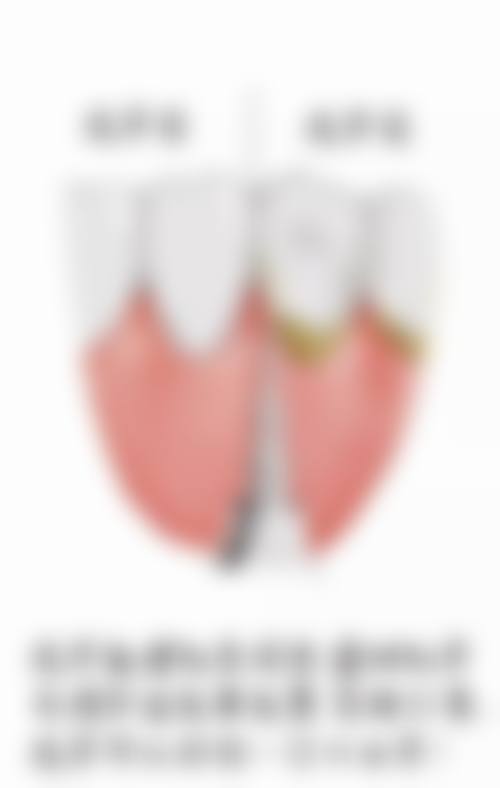 广东广州新悦口腔诊所诊疗服务项目