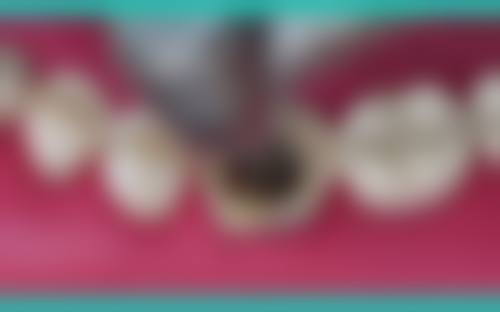 张笠莹的价格收费与就诊指引