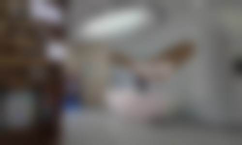 韩玉玲的诊疗标准与服务细节