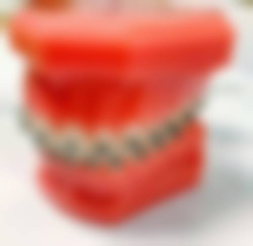 樊熊越的价格与坐诊指引