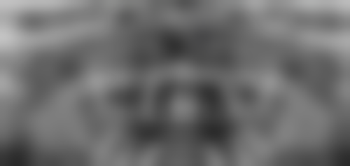 刘思雨的学术积累与从业资历