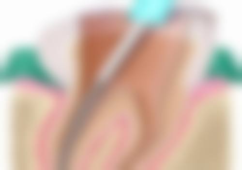 袁星的价格收费与就诊指引