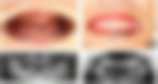 陈薇的学术积累与从业资历