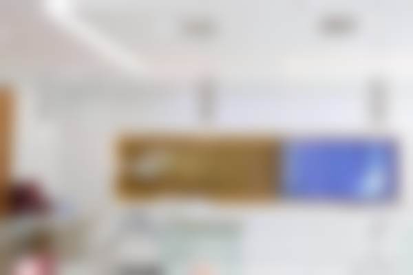 韦少锋的学术积累与从业资历