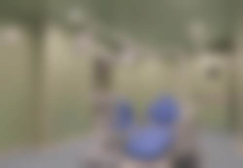 王洁的收费标准与就诊指引