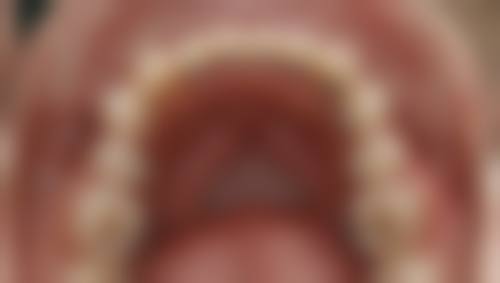 杨熙善的学术积累与从业把控