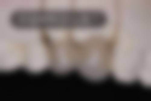 朴虎山的学术积累与从业资历