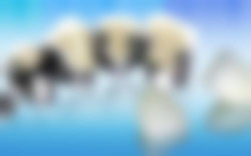 简从相的临床实战与患者沟通