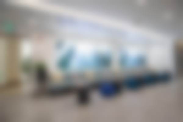 刘素阳的学术积累与从业资历