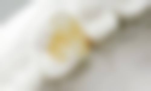 赵建安的学术积累与从业资历