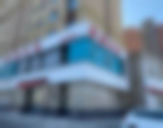 李百玲的学术积累与从业资历