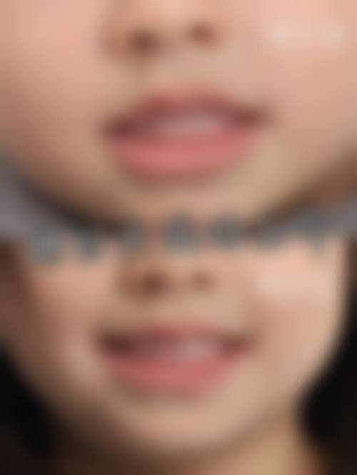 陶芬的学术积累与从业资历