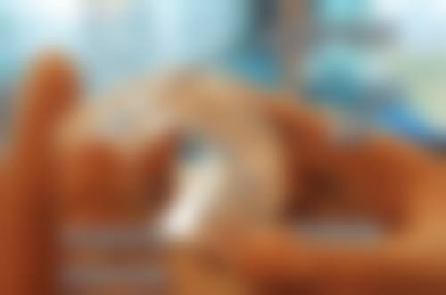 山东威海乳山丁春桥口腔是正规的吗