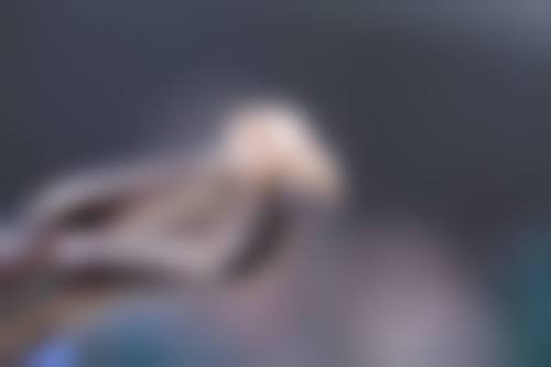 价格收费与坐诊时间